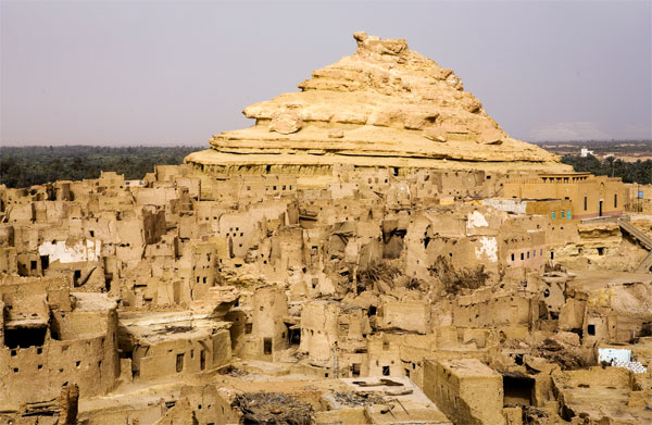 Oasis Siwa