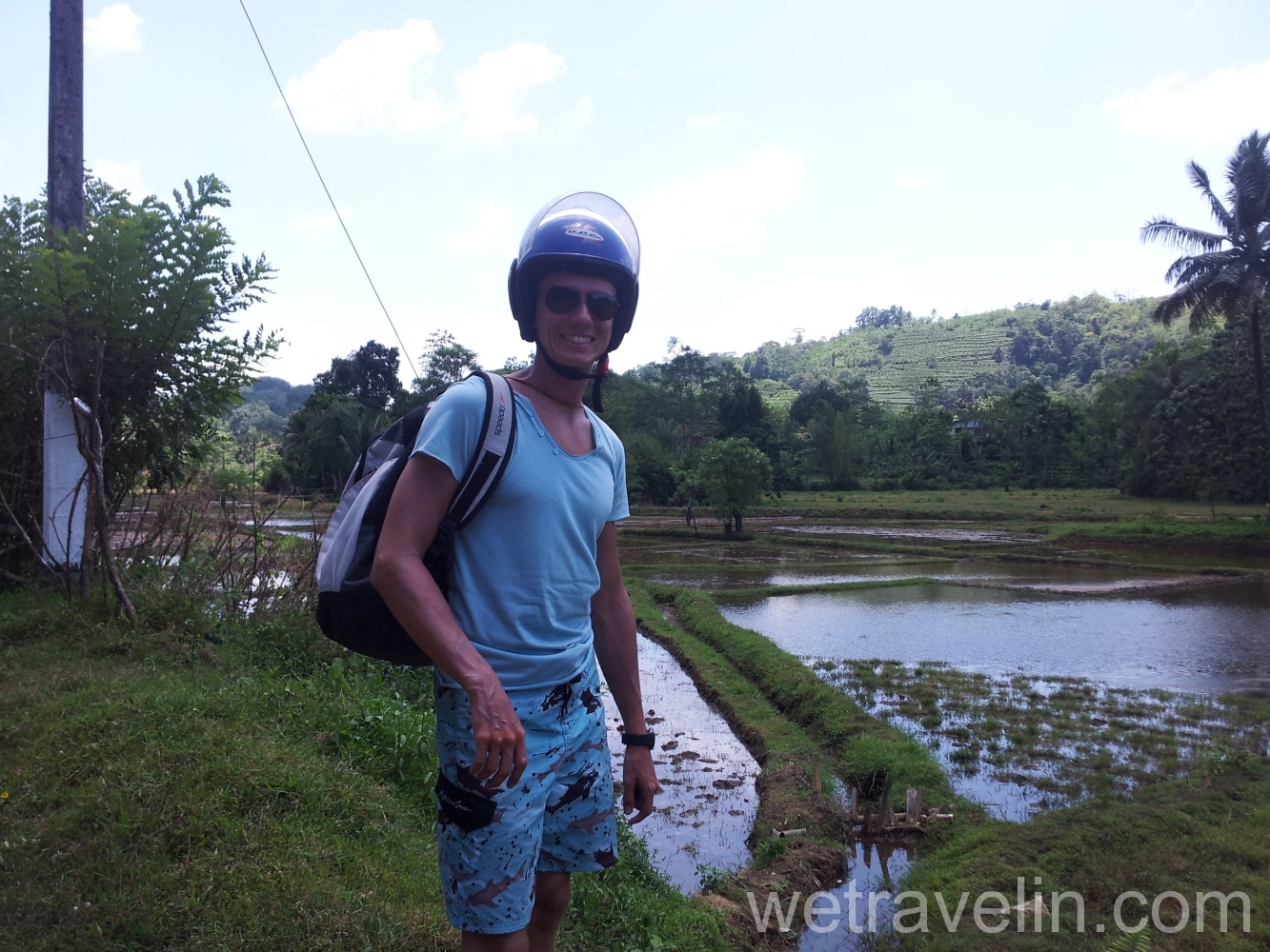 Sinharaja forest (Лес Синхараджа)
