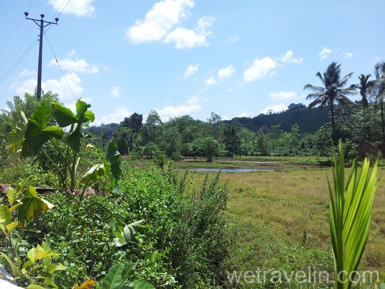 пейзажи Шри-Ланки