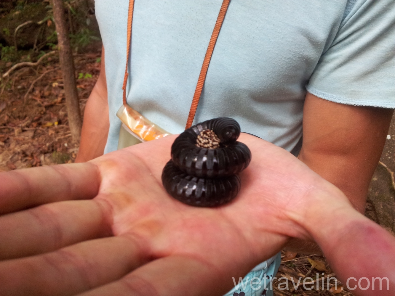 Синхараджа