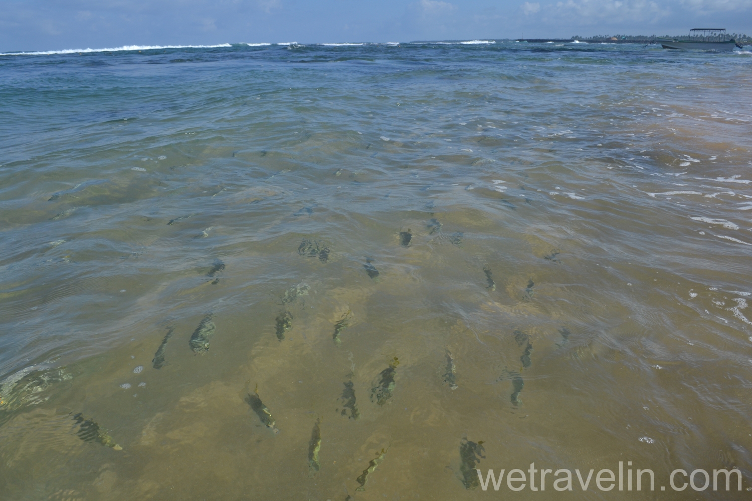 дайвинг на Шри Ланке