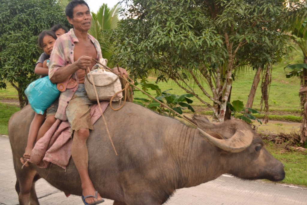 вот так передвигаются местные жители у кого нет мотобайка)