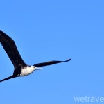 Зачем ехать в заповедник Сиан Каан? 